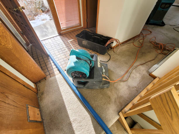 Best Ceiling water damage repair  in Bryn Mawr Skyy, WA