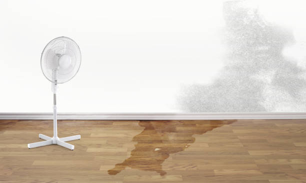 Best Sewage cleanup and water damage restoration  in Bryn Mawr Skyy, WA