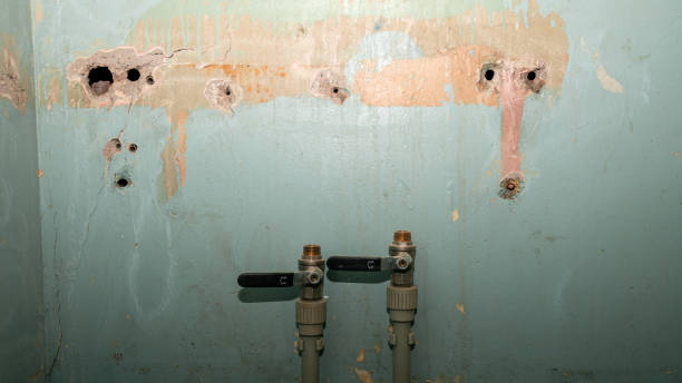 Best Water damage contractors near me  in Bryn Mawr Skyy, WA