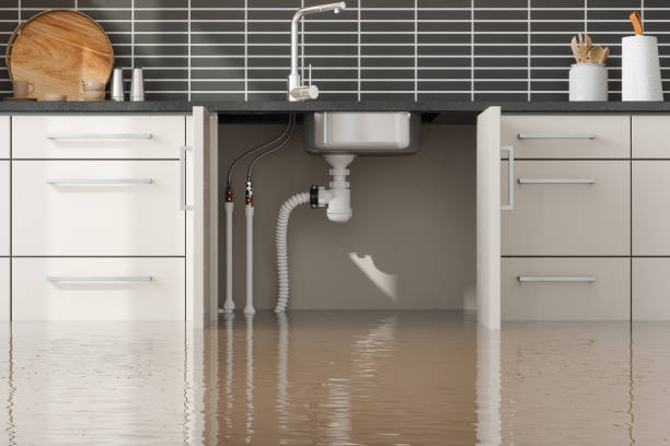 Best Water damage restoration insurance claims  in Bryn Mawr Skyy, WA