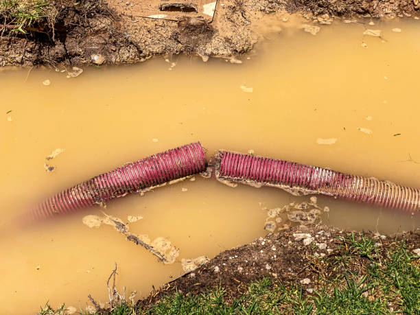 Best Water damage contractors near me  in Bryn Mawr Skyy, WA