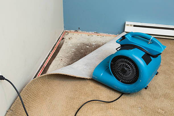 Best Water damage contractors near me  in Bryn Mawr Skyy, WA